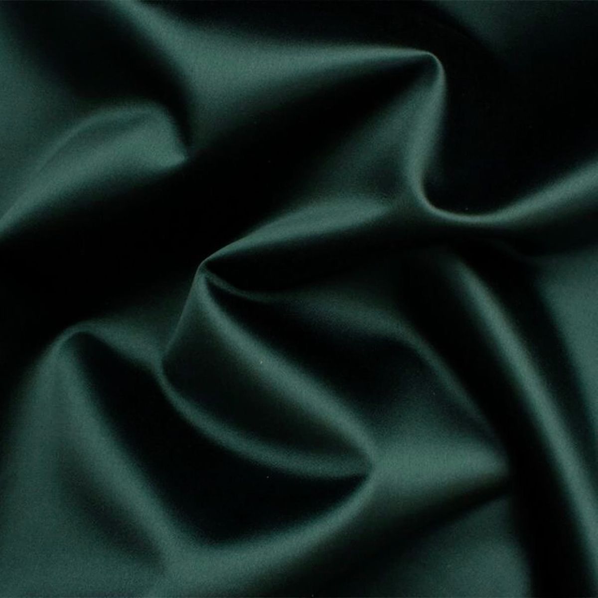 The Everyday Essential